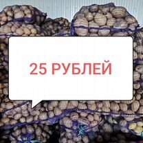 Продукты питания оптом