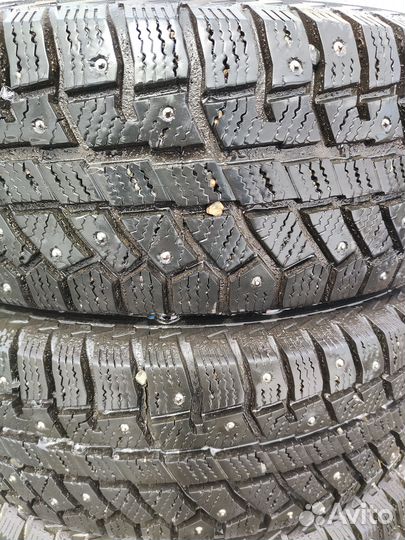 Cordiant Polar 2 195/65 R15