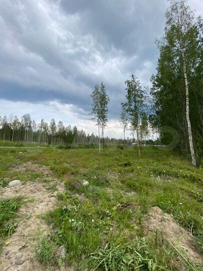 Участок 9,3 сот. (СНТ, ДНП)