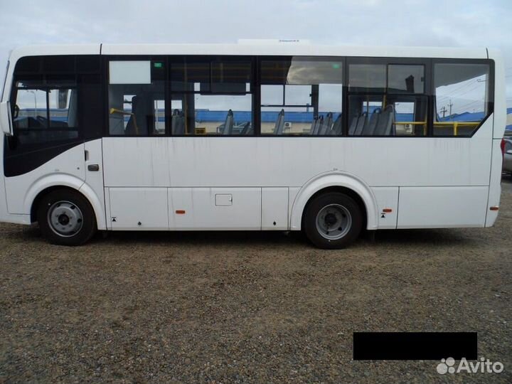 Городской автобус ПАЗ Вектор Next 7.6, 2022