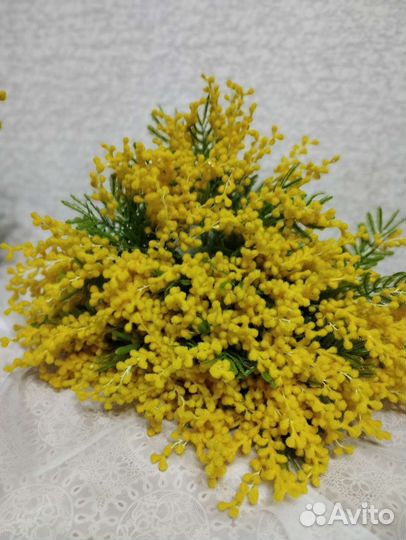 Мимоза искусственная