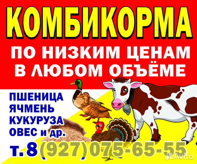Баннеры, вывески, таблички, визитки, меню, ценники