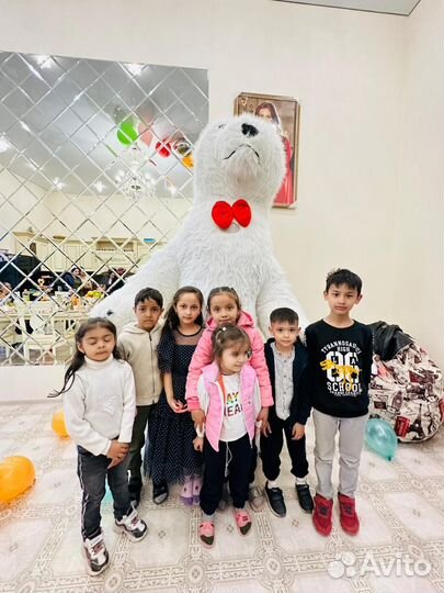 Белый мишка поздравление