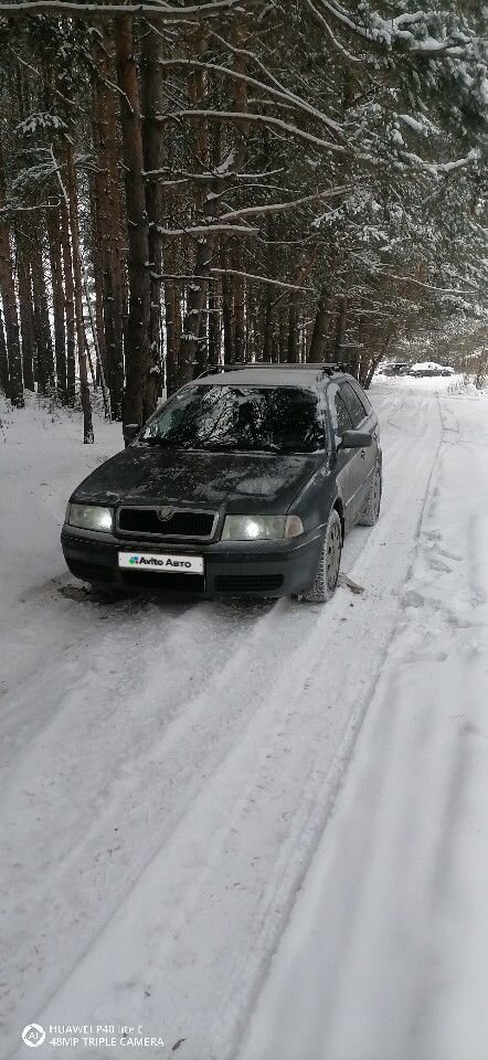 Skoda Octavia: фото владельца