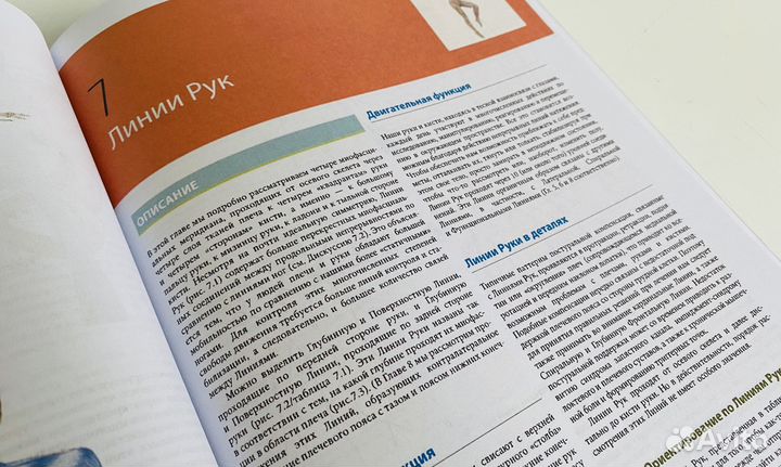 Анатомические поезда 4 издание