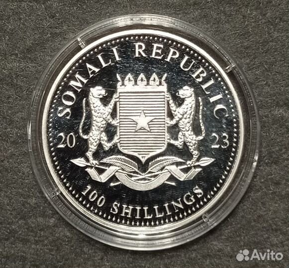 Сомали 2023 Африканская природа Слон Серебро