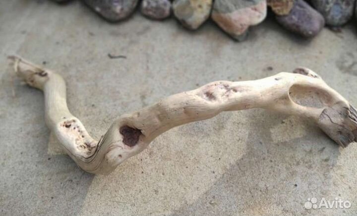 Пни и коряги для аквариумистики