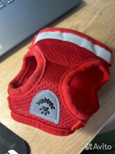 Шлейка для маленькой собаки или кошки