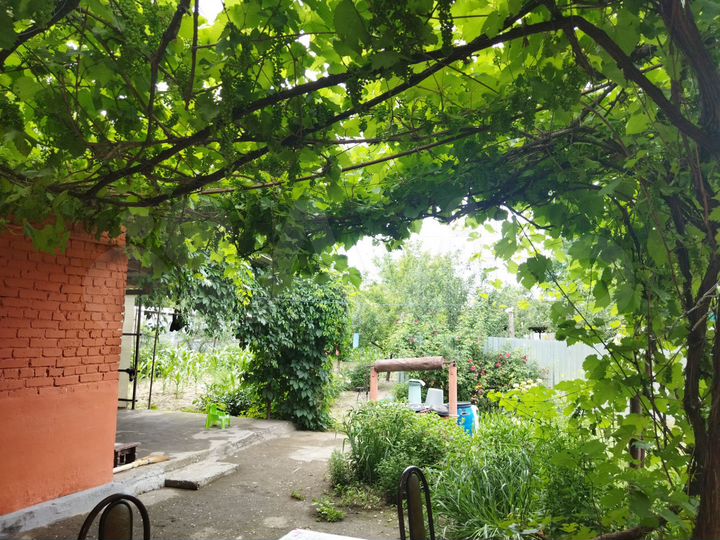 Участок 6 сот. (ИЖС)