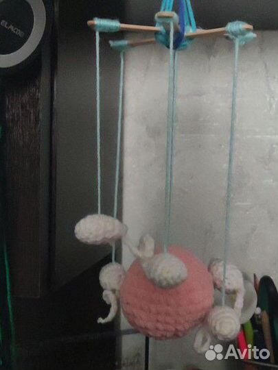 Яйцеклетка и сперматозоиды