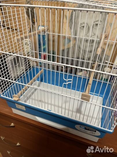 Кенар с клеткой