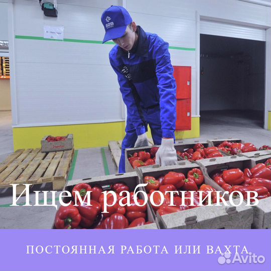 Комплектовщик