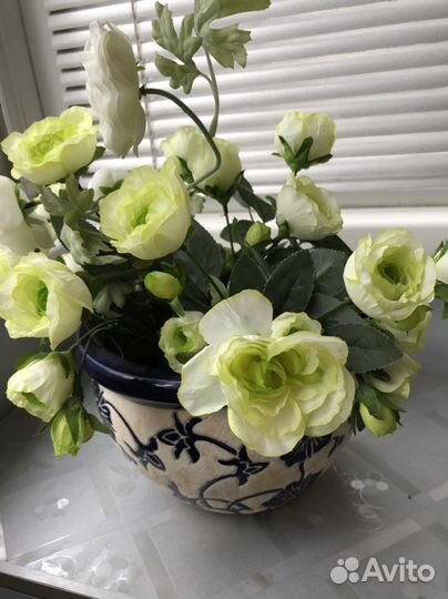 Интерьерные цветы