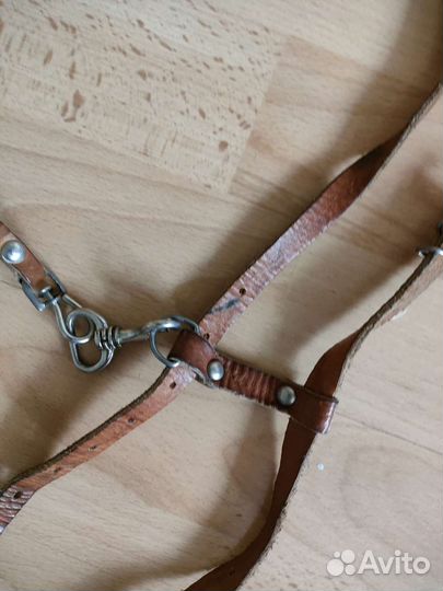 Поводок для маленьких собак или некрупного кота