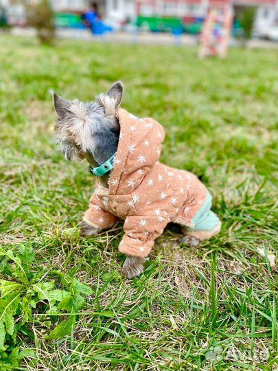 Комбинезон для собак