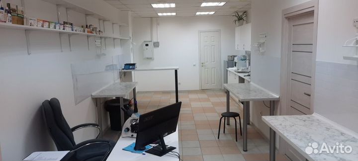 Ветеринарная клиника (стерилизация кошки)