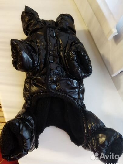 Комбинезон для маленькой собаки