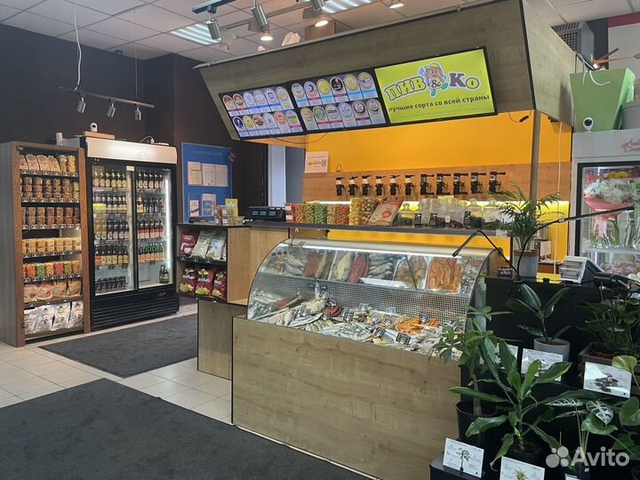 Пивной островок-чистая прибыль 100000