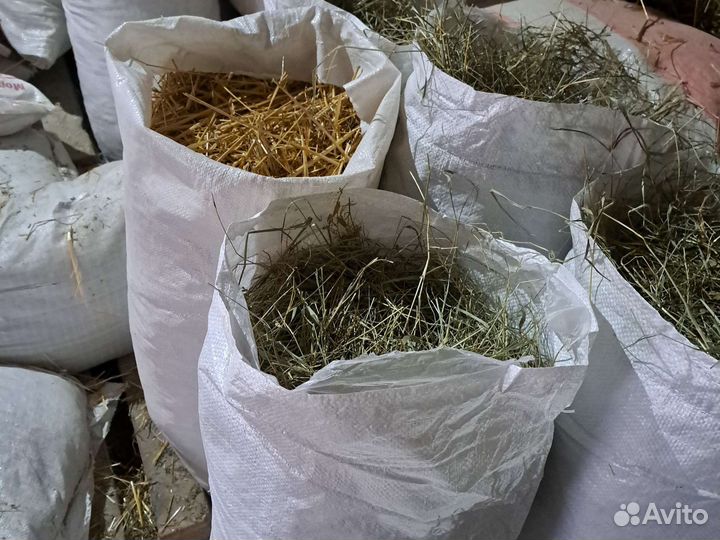 Солома Сено майское Люцерна