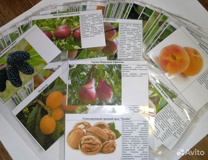 Качественная оперативная полиграфия