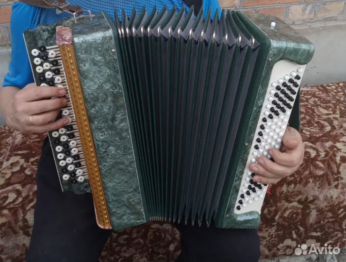 Баян ростов дон