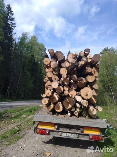 Продам круглый лес, пиловочник, хвоя, береза