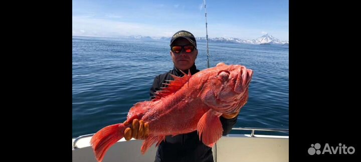 Морская рыбалка на Камчатке