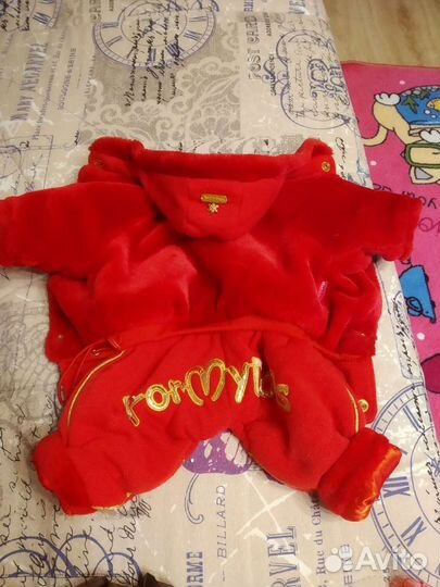 Одежда для маленькой собачки