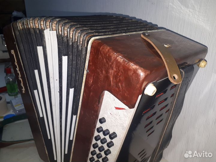 Гармонь Чайка 2