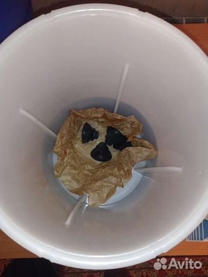 Электромаслобойка