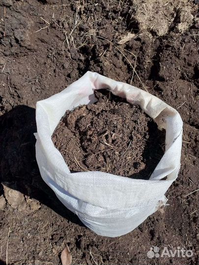 Чернозем перегной