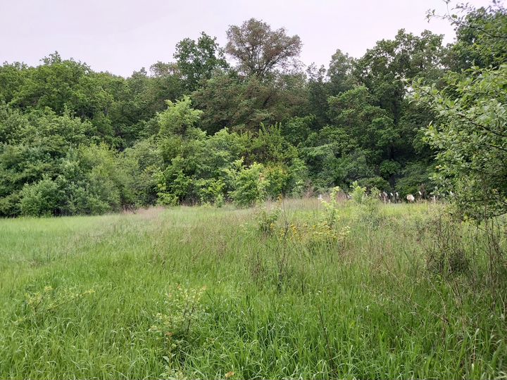 Дача 10 м² на участке 6 сот.