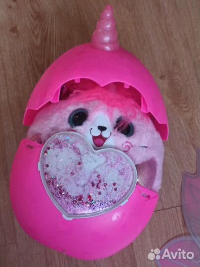 Яйцо rainbocorns