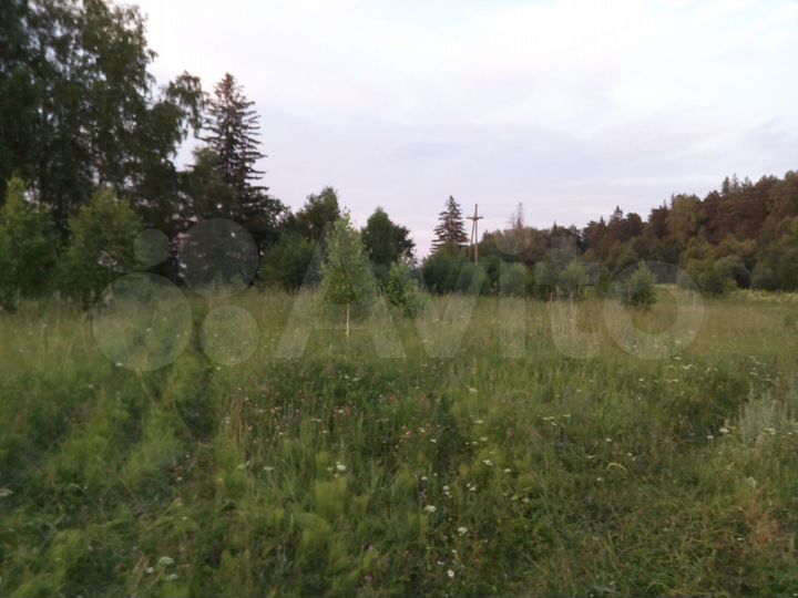 Участок 50 сот. (ИЖС)