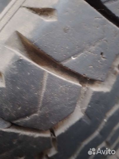 Accelera Accelera 17.5/65 R17C