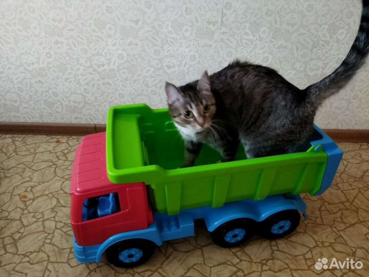 Грузовик огромный