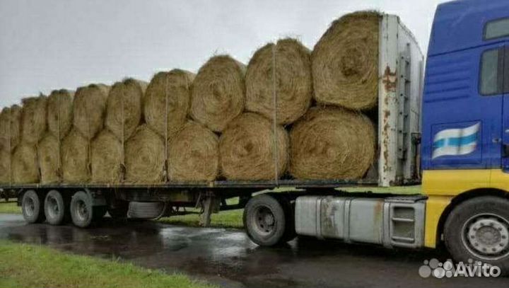 Перевозка сена и соломы