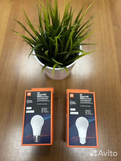 Умная лампочка Xiaomi Mi Smart