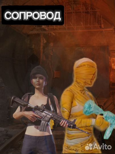 Сопроводы в метро рояль