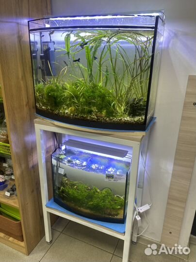 Аквариум с тумбой