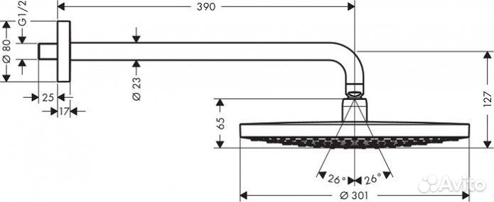 Верхний душ Hansgrohe Raindance Select S 300 27378