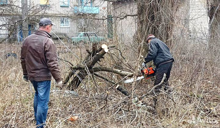 Вывоз мусора, спил деревьев, демонтаж