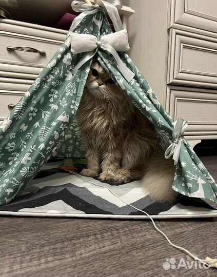 Домик для кошек или маленьких собачек