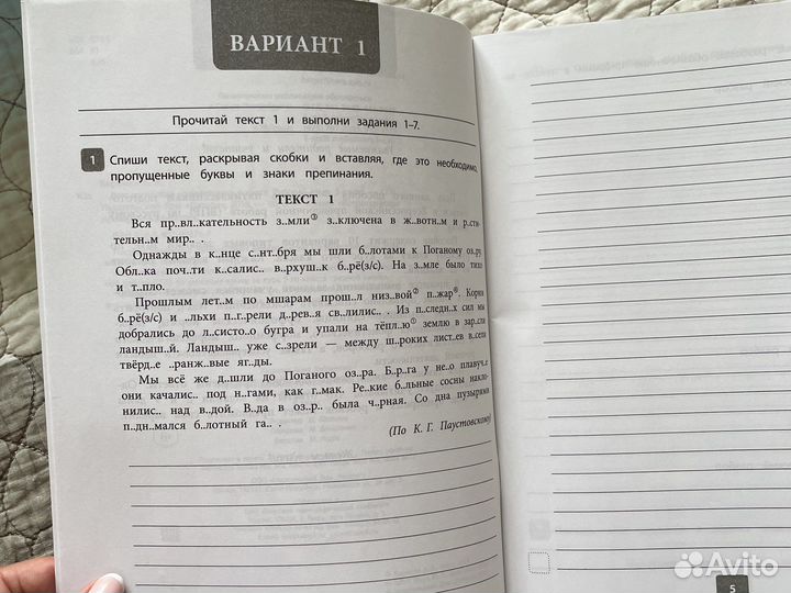 Впр, Русский язык, 5класс