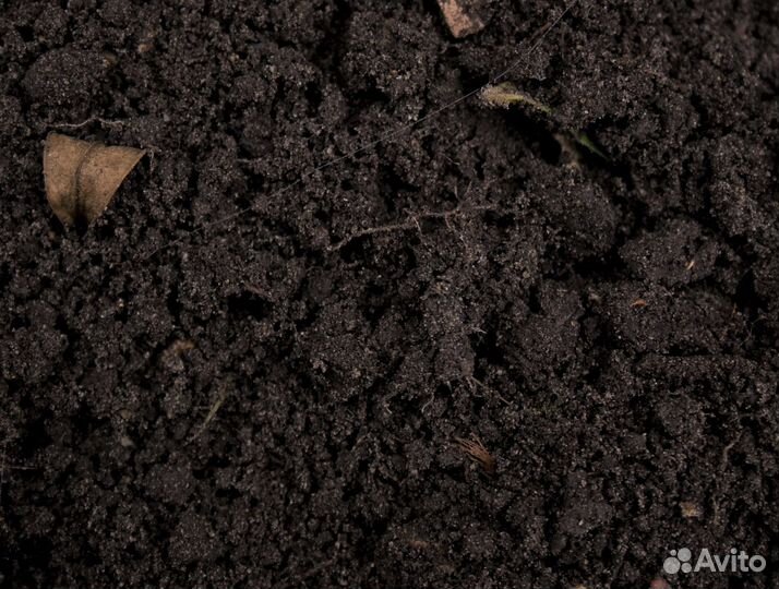 Плодородный грунт с доставкой, торф, Чернозем