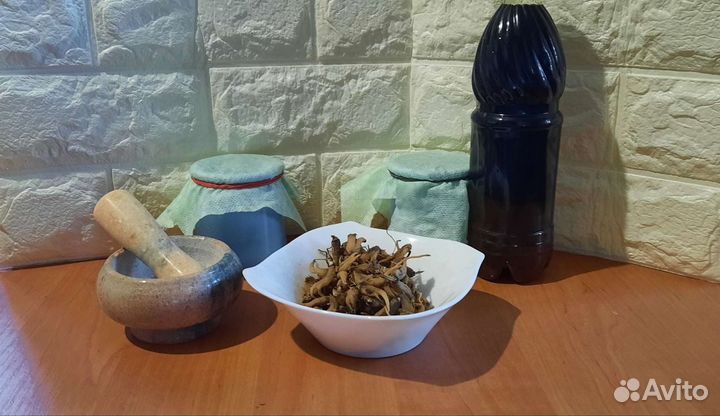 Яртышник (салеп) для мужчин и женщин