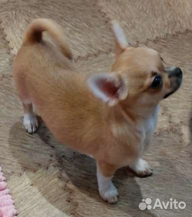 Микро девочка