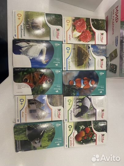 Умница мир на ладошке