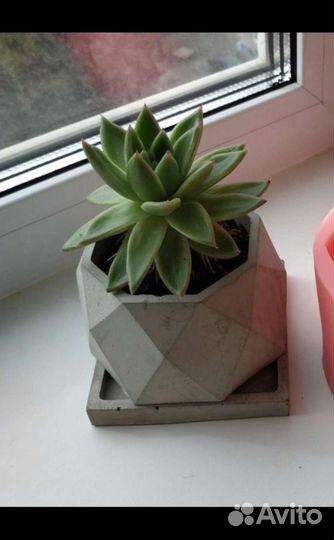 Гипсовый цветочный горшок/кашпо