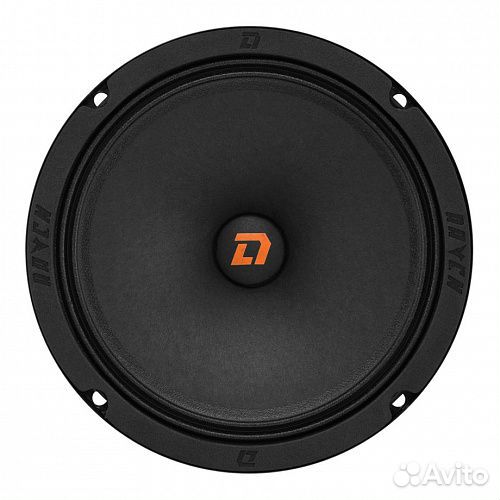 Акустическая система DL Audio Raven 165